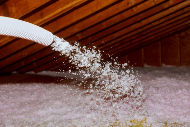 Best Best Insulation Companies  in Mount Gilead, NC