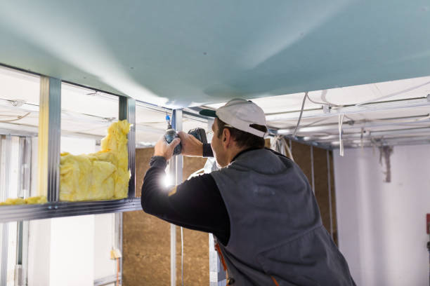 Best Insulation for Commercial Buildings  in Mount Gilead, NC