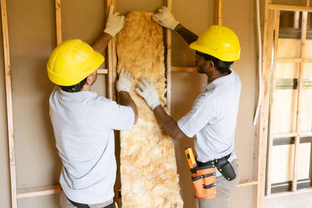Best Crawl Space Insulation  in Mount Gilead, NC