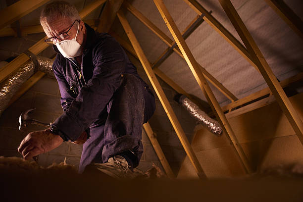 Best Insulation Contractors for Homes  in Mount Gilead, NC