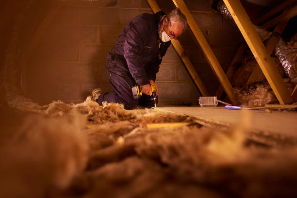 Best Attic Insulation Installation  in Mount Gilead, NC